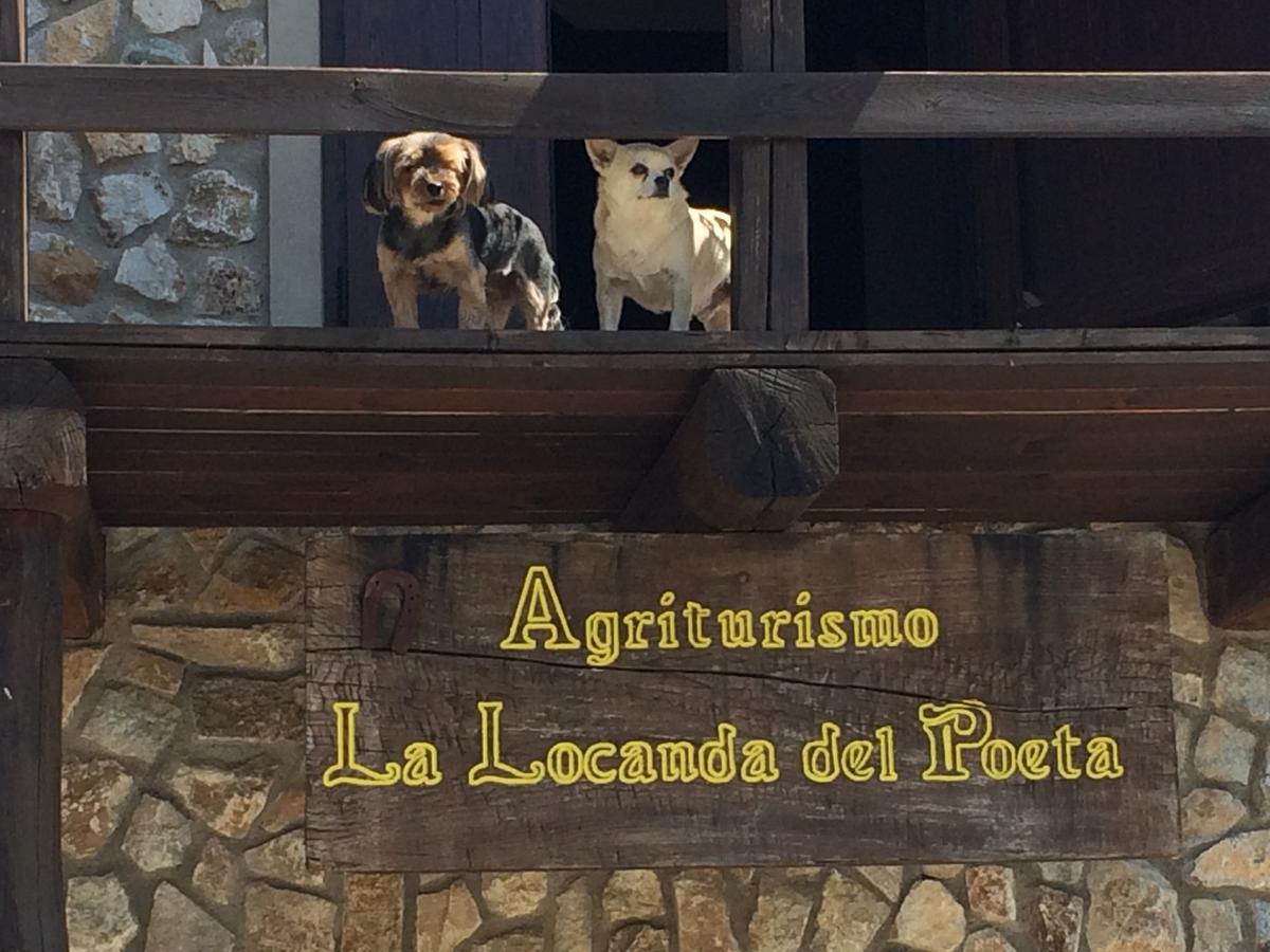 La Locanda Del Poeta Acri Ngoại thất bức ảnh